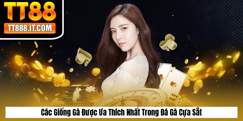 Các Giống Gà Được Ưa Thích Nhất Trong Đá Gà Cựa Sắt