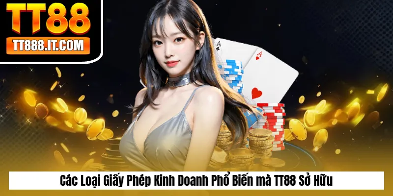 Các Loại Giấy Phép Kinh Doanh Phổ Biến mà TT88 Sở Hữu