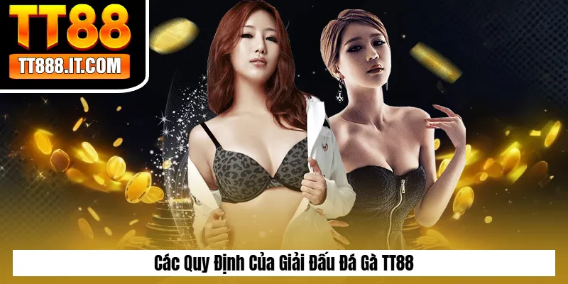 Các Quy Định Của Giải Đấu Đá Gà TT88