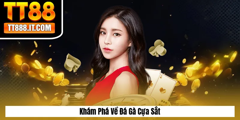 Khám Phá Về Đá Gà Cựa Sắt