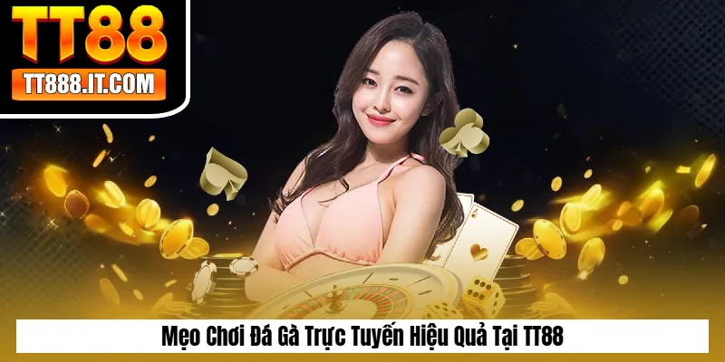 Mẹo Chơi Đá Gà Trực Tuyến Hiệu Quả Tại TT88